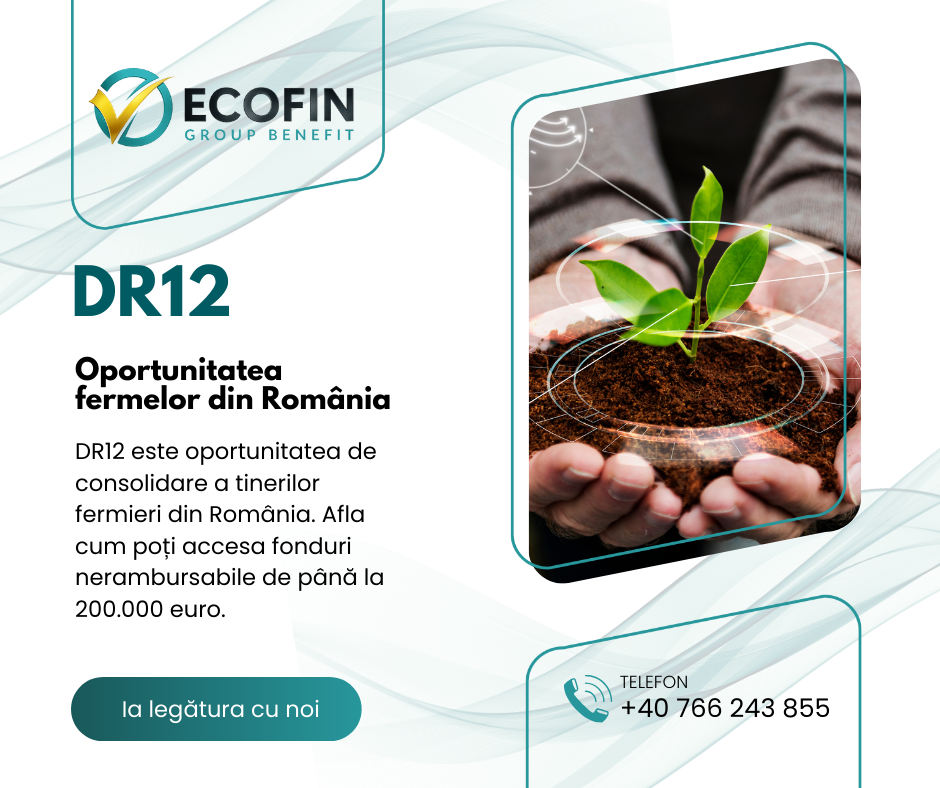 Ecofin DR12 Facebook campaign