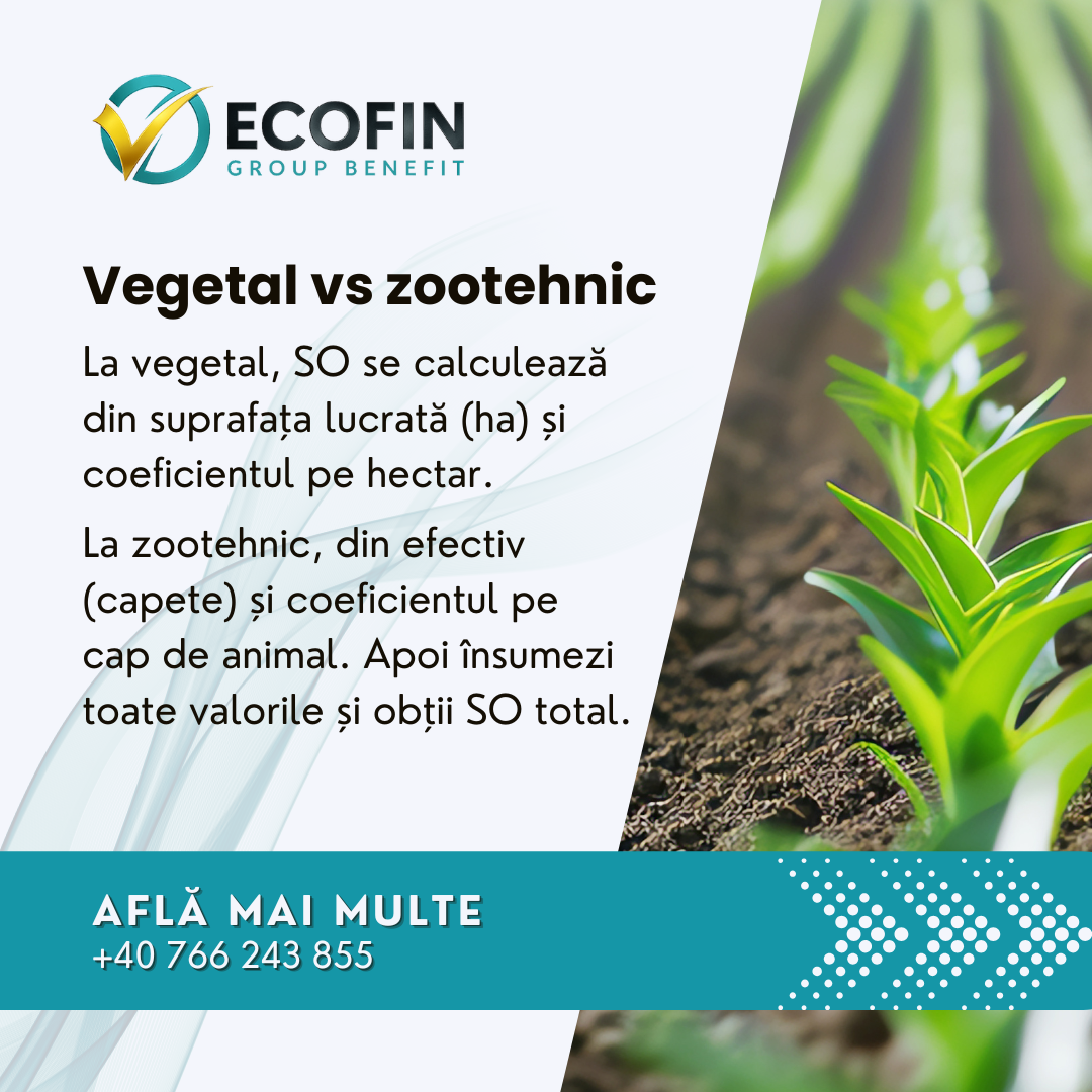 Ecofin social media campaign design
